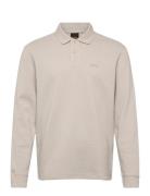 Petempestolong Grey BOSS