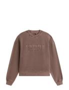 Tjw Bxy Gmd Script Crew Brown Tommy Jeans