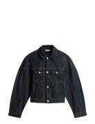 Dnm Pure Pleated Jacket Navy Tommy Hilfiger