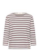 Nelapw Ts White Part Two