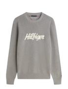 Seasonal Graphic Cotton Cneck Grey Tommy Hilfiger