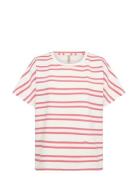 Sc-Barni Pink Soyaconcept