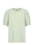 Sc-Derby Green Soyaconcept