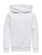 Osjceres Hoodie Swt Noos Grey ONLY & SONS