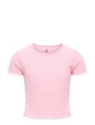 Kognella S/S O-Neck Top Noos Jrs Pink Kids Only