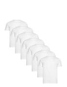 Basic O-Neck Tee S/S 7 Pack White Lindbergh