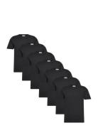 Basic O-Neck Tee S/S 7 Pack Black Lindbergh