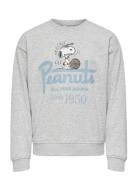 Kogracquet Ls Loose O-Neck Ub Swt Grey Kids Only