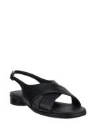 Sculpted Alba 25 Black ECCO