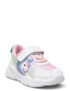 Stray Pax Patterned PAX