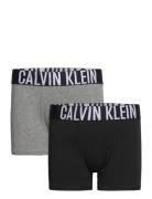 2Pk Trunk Patterned Calvin Klein