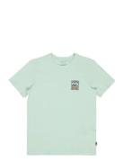 Stamp Ss Green Billabong