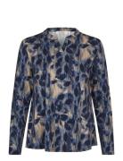 Madecentia Blue Masai