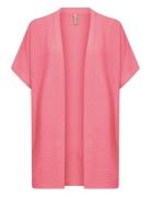 Sc-Cath Pink Soyaconcept