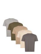 Jjeorganic Basic Tee Ss O-Ne 5Pk Mp Noos Cream Jack & J S