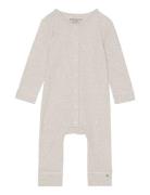 Oak Sie Beige GoBabyGo