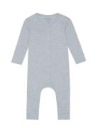 Oak Sie Blue GoBabyGo