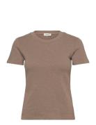 Sonoma Brown American Vintage