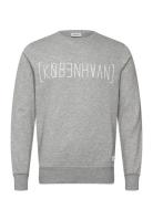 Sdkbh Crew Sw Grey Solid