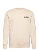 Sdtorrence Cream Solid