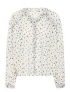 Zadiepw Bl Cream Part Two