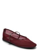 Mash Balerina Burgundy Steve Madden