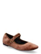 Bialilja Mary Jane Velvet Brown Bianco