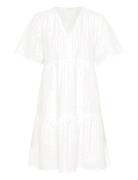 Pamiapw Dr White Part Two