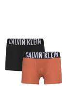 2Pk Trunk Black Calvin Klein