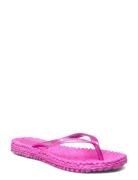 Flip Flops With Logo Pink Ilse Jacobsen