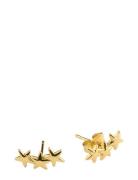 Skylar - Star Climber Earrings Mini Stainless Stee Gold Timi Of Sweden