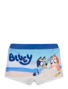 Swimwear Blue Bluey