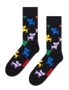 Chihuahua Sock Black Happy Socks