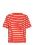 Ihnova Ss3 Orange ICHI