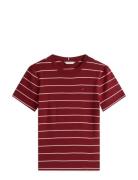 Slim Cody C-Nk Ss White Tommy Hilfiger