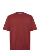 Pro Brown Tiger Of Sweden