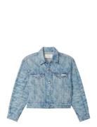 Aop 90S Trucker Jacket Lt Playbi Blue Calvin Klein Jeans