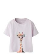 Nmfvotea Ss Nreg Top Purple Name It