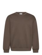 O-Neck Sweat Over Brown Enkel Studio
