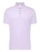 Ss Supima Chest Emb Polo Purple Calvin Klein