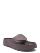 Piece Eva Flip Flop Thong Purple Calvin Klein