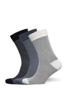 Jacbryan Bird Eye Socks 3 Pack Sn Black Jack & J S