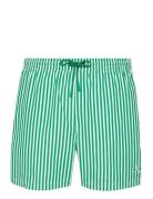 Medium Drawstring Waistband Green Calvin Klein