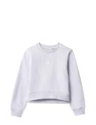 Ck Crewneck Sweatshirt Purple Calvin Klein