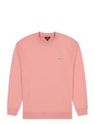 Patch Crew Sws Pink Lee Jeans