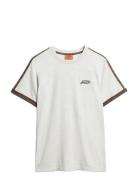 Essential Logo Retro St Tee Brown Superdry