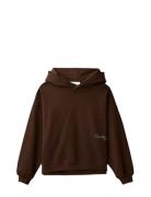 Signature Aw Hoodie Brown Calvin Klein