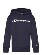 Hooded Sweatshirt Navy Champion