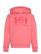 K Hh Logo Hoodie Pink Helly Hansen