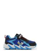 Sonic Sneaker Blue Leomil